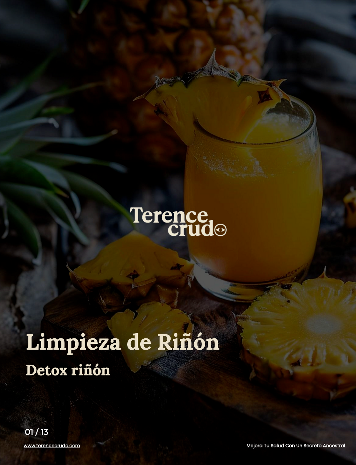 Guía de Uso - Detox para la Limpieza del Riñon